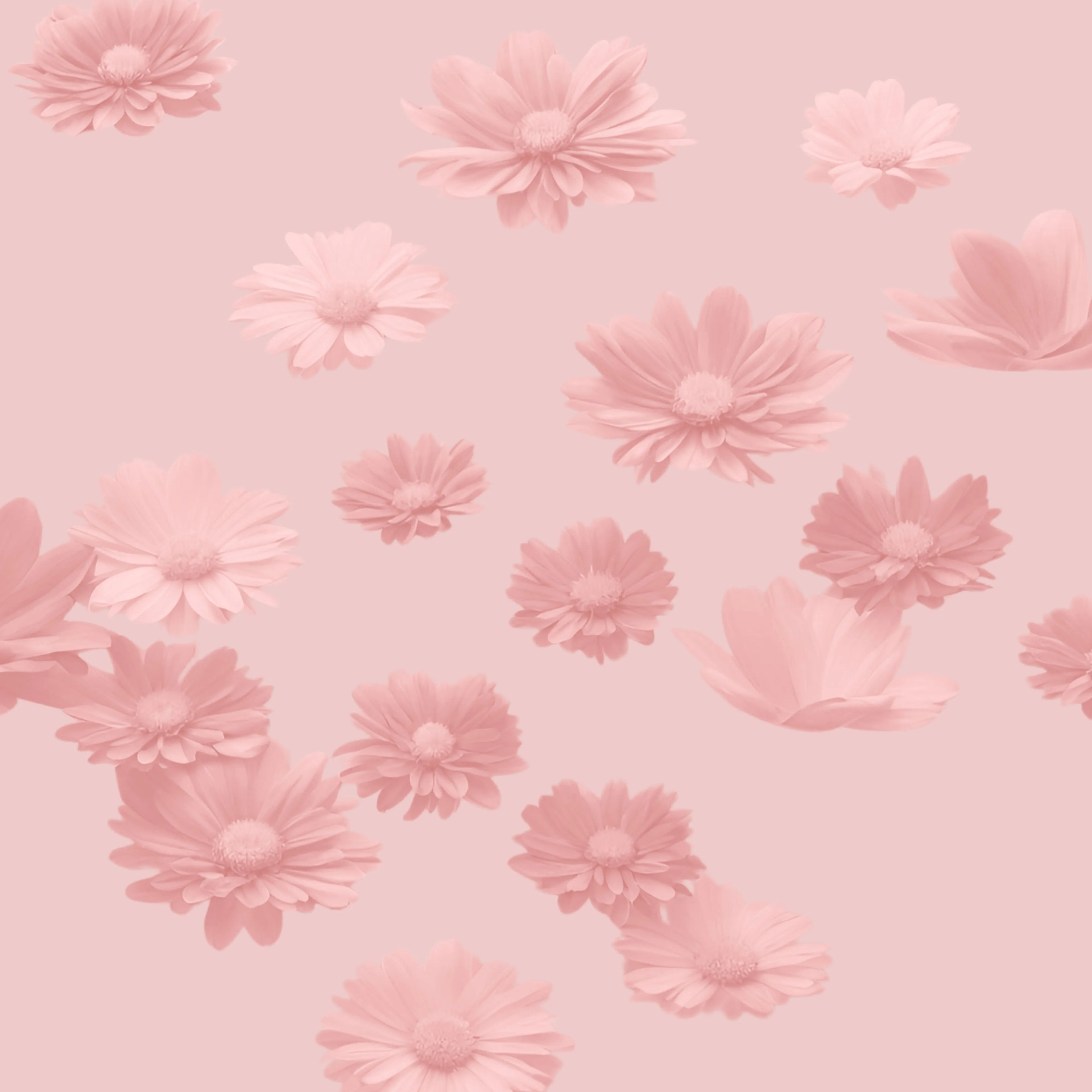 Floral Perfumes