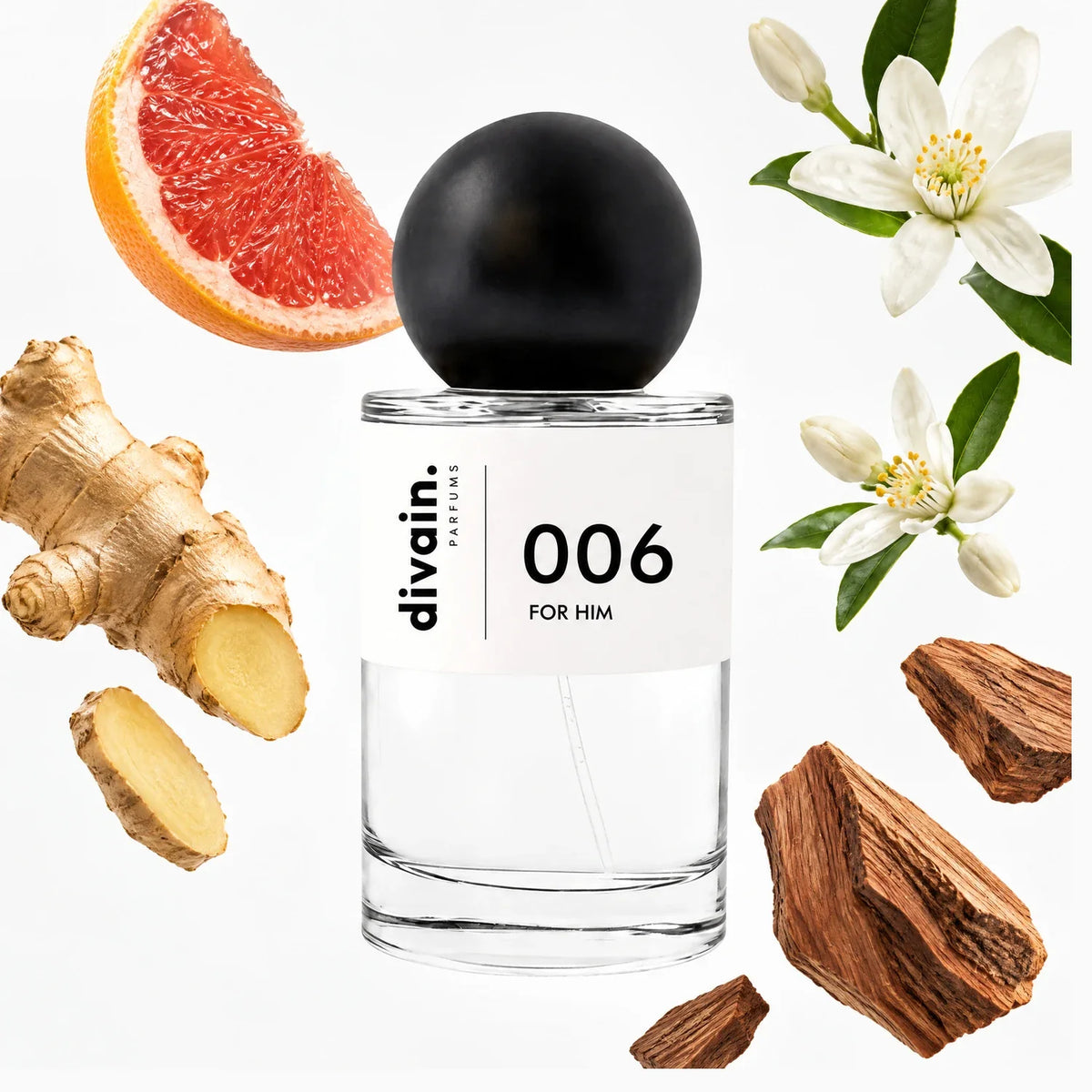 Olfactory pyramid of divain.006 perfume