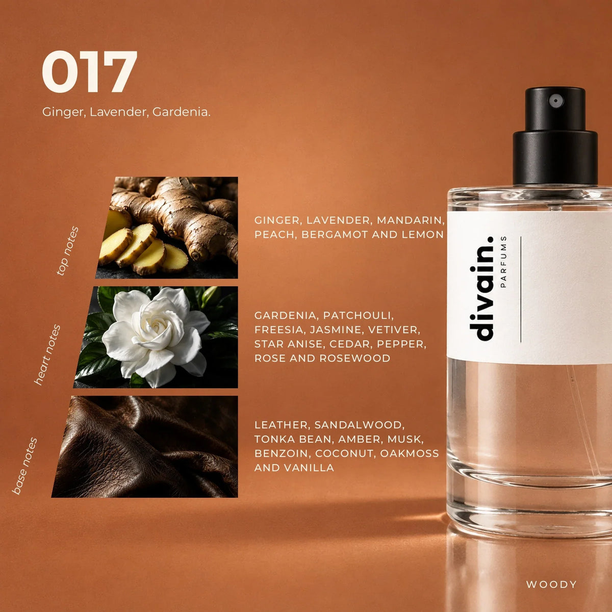 divain.017 perfume olfactory notes