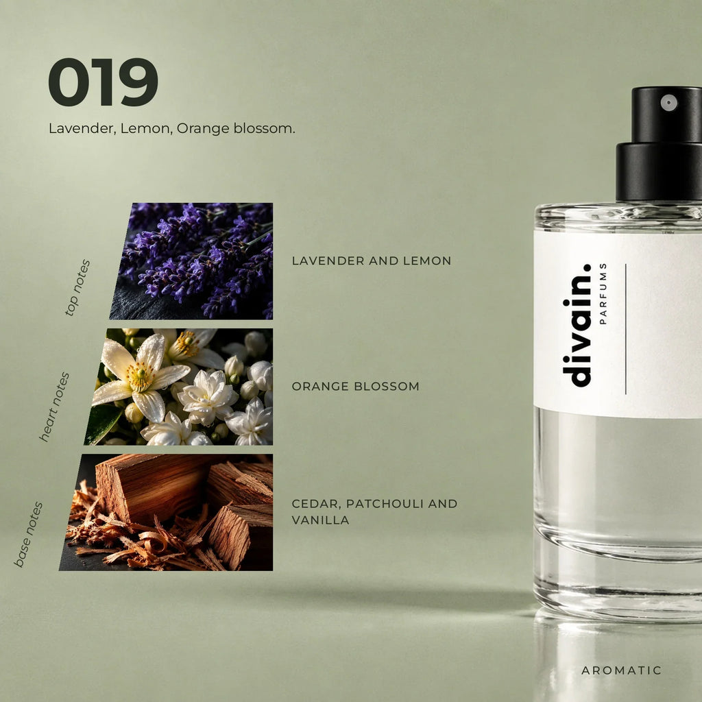 divain.019 perfume olfactory notes
