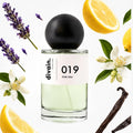 divain.019 perfume olfactory pyramid