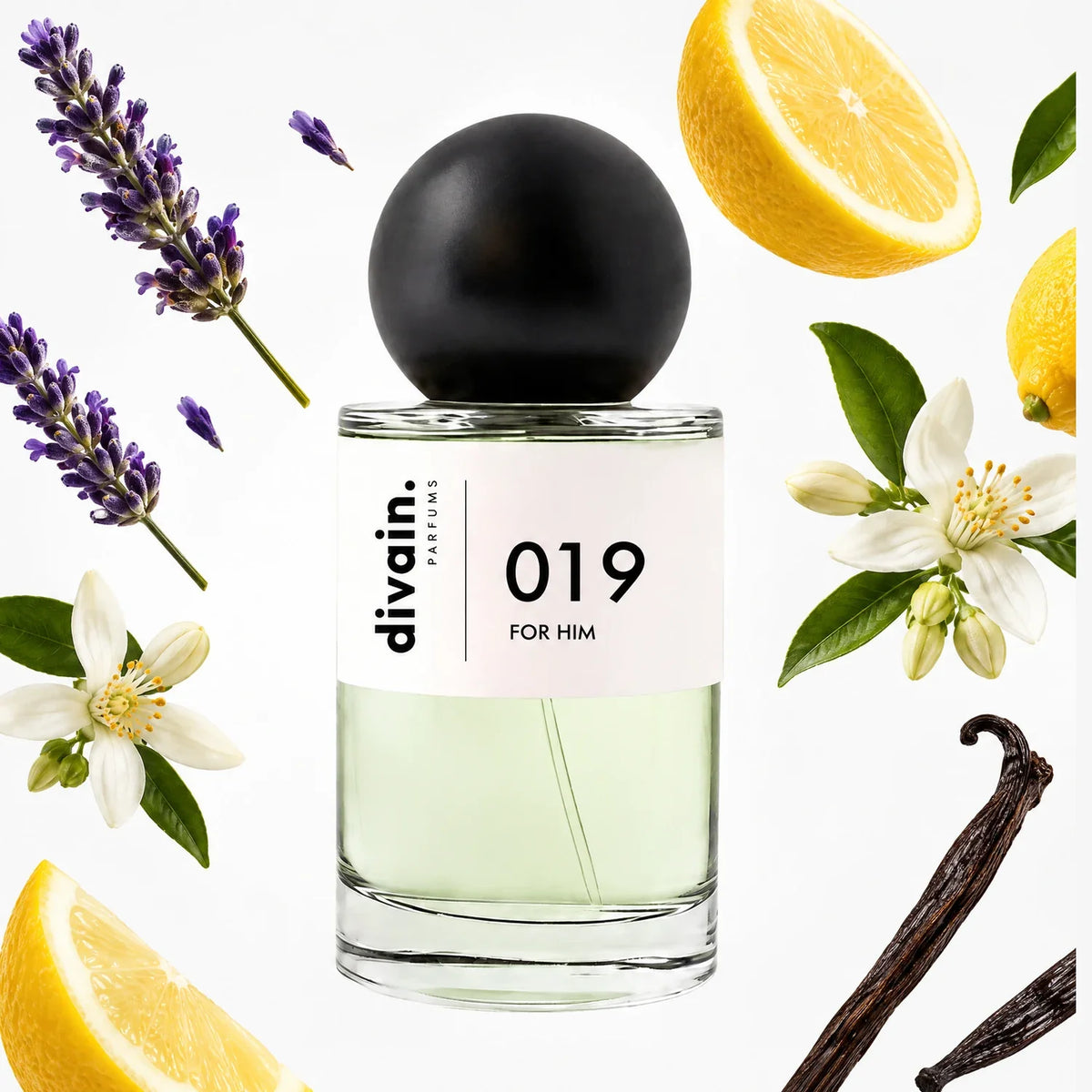divain.019 perfume olfactory pyramid