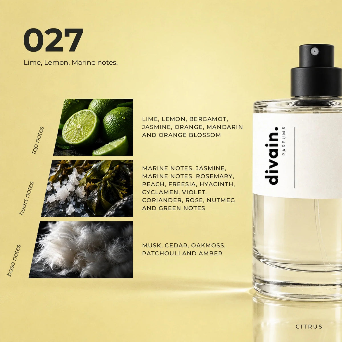 divain.027 perfume olfactory notes
