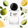 divain.027 perfume olfactory pyramid