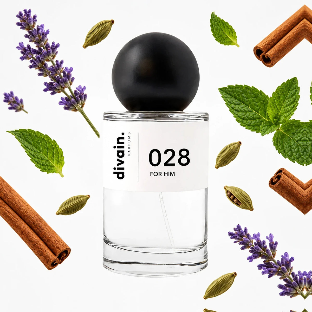 divain.028 perfume olfactory pyramid