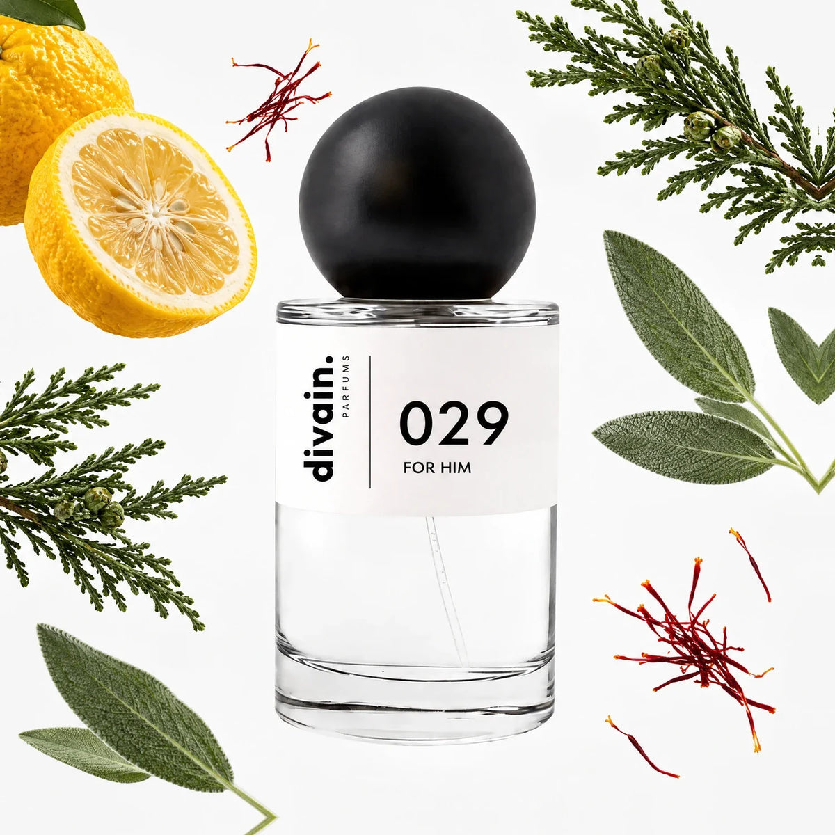 divain-029 notas
