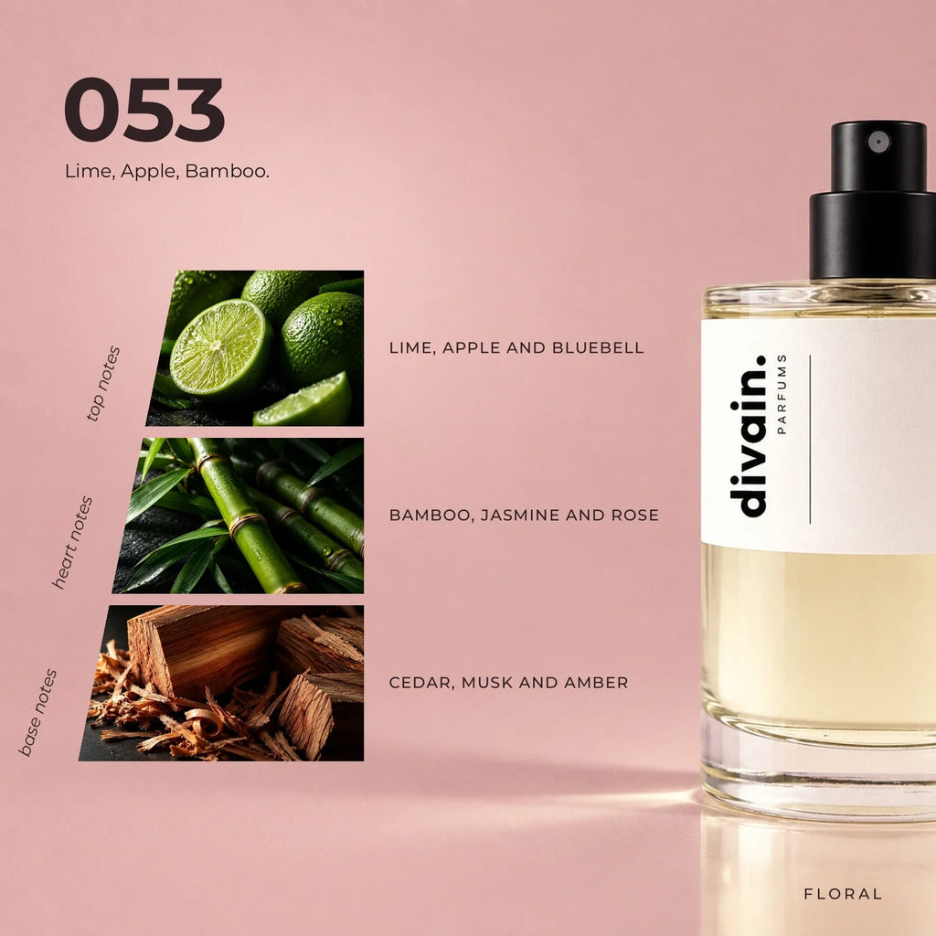divain.053 perfume olfactory notes