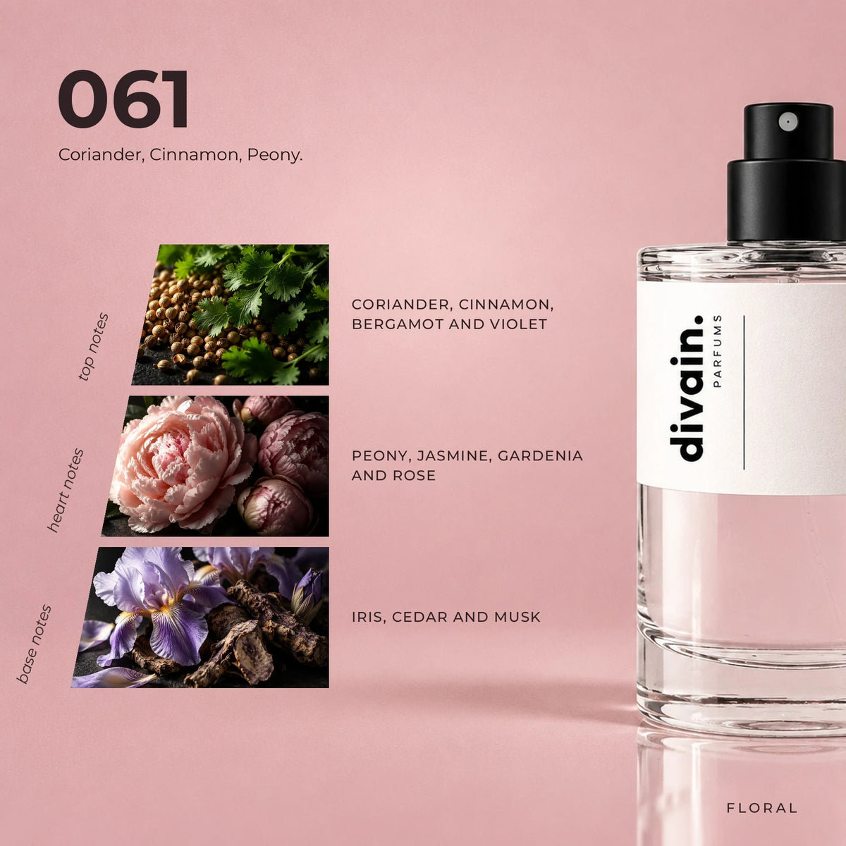 divain.061 fragrance pyramid