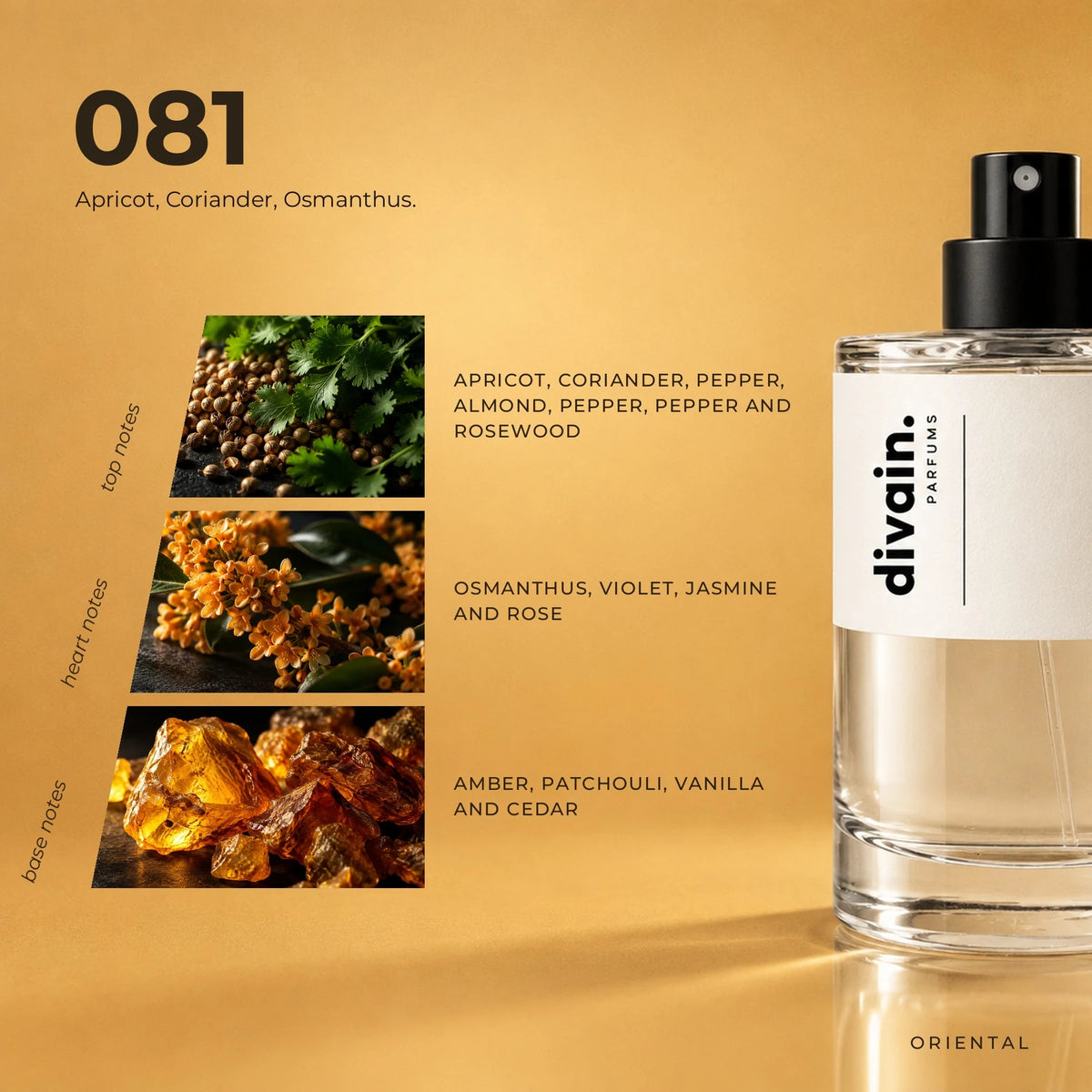 divain.081 fragrance pyramid