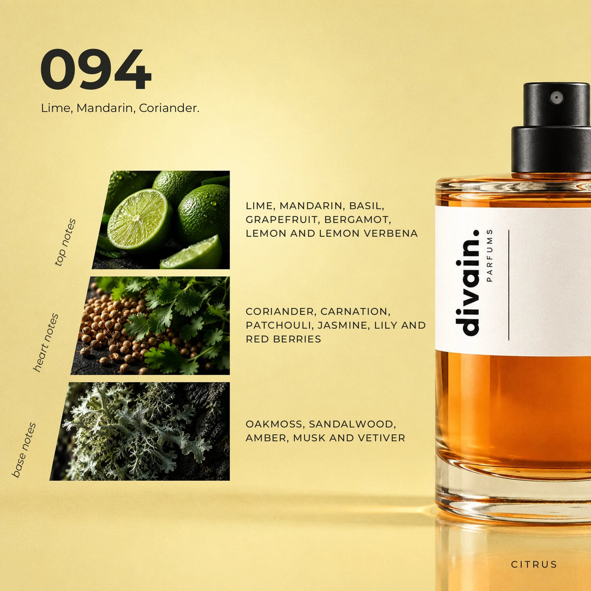 divain.094 fragrance pyramid