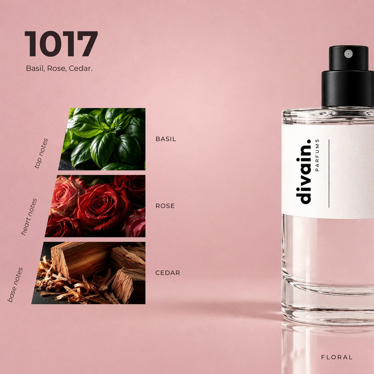 divain.1017 perfume olfactory notes