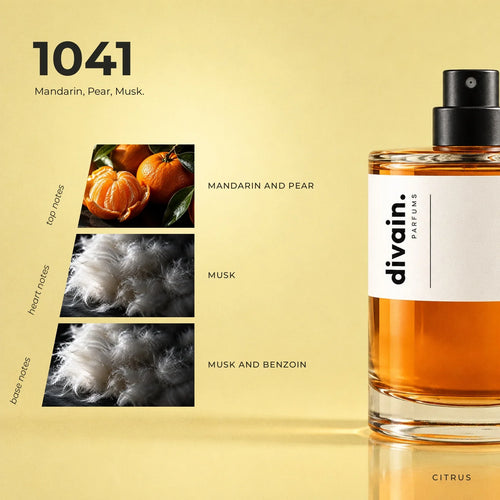 divain.1041 perfume olfactory notes