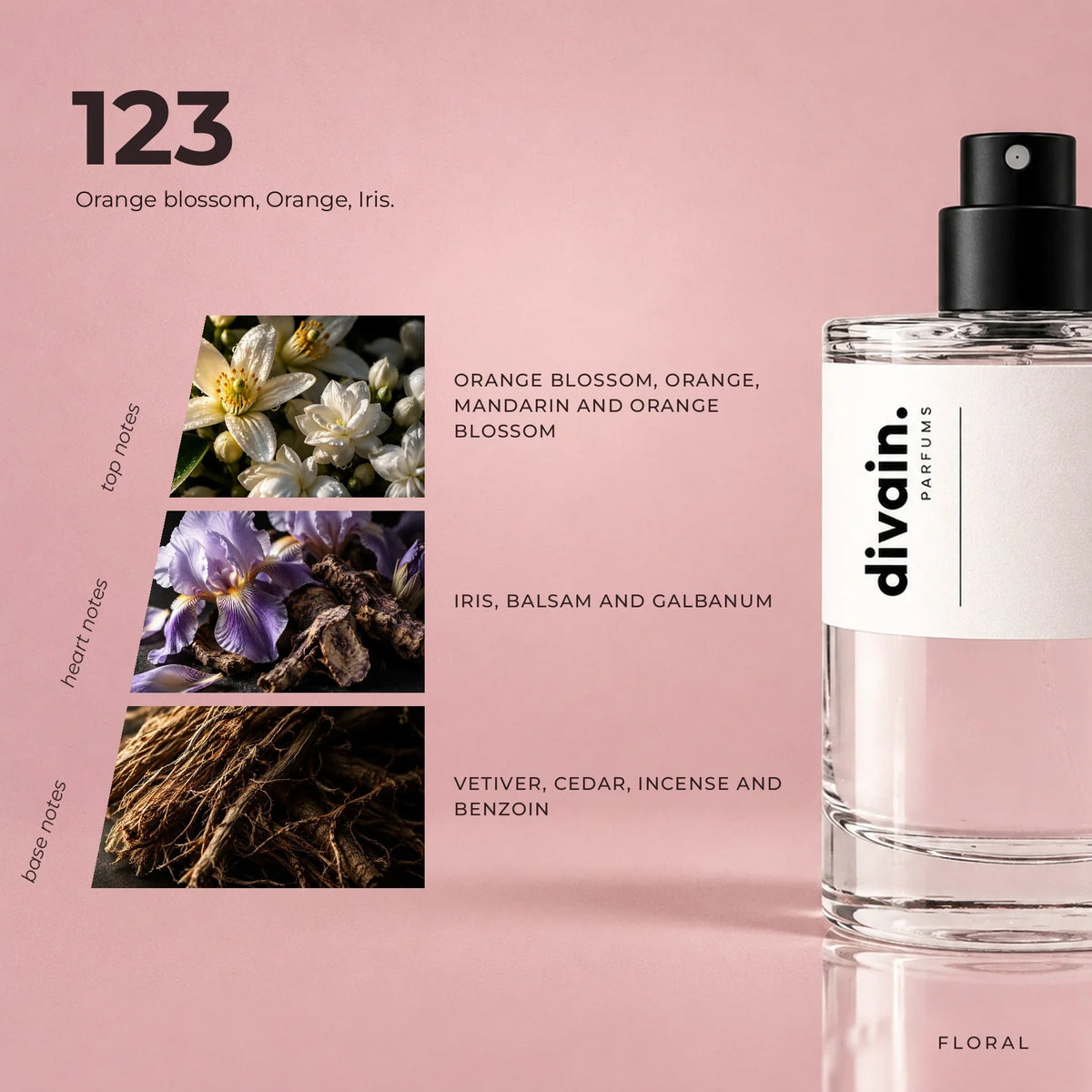 divain.123 perfume olfactory notes