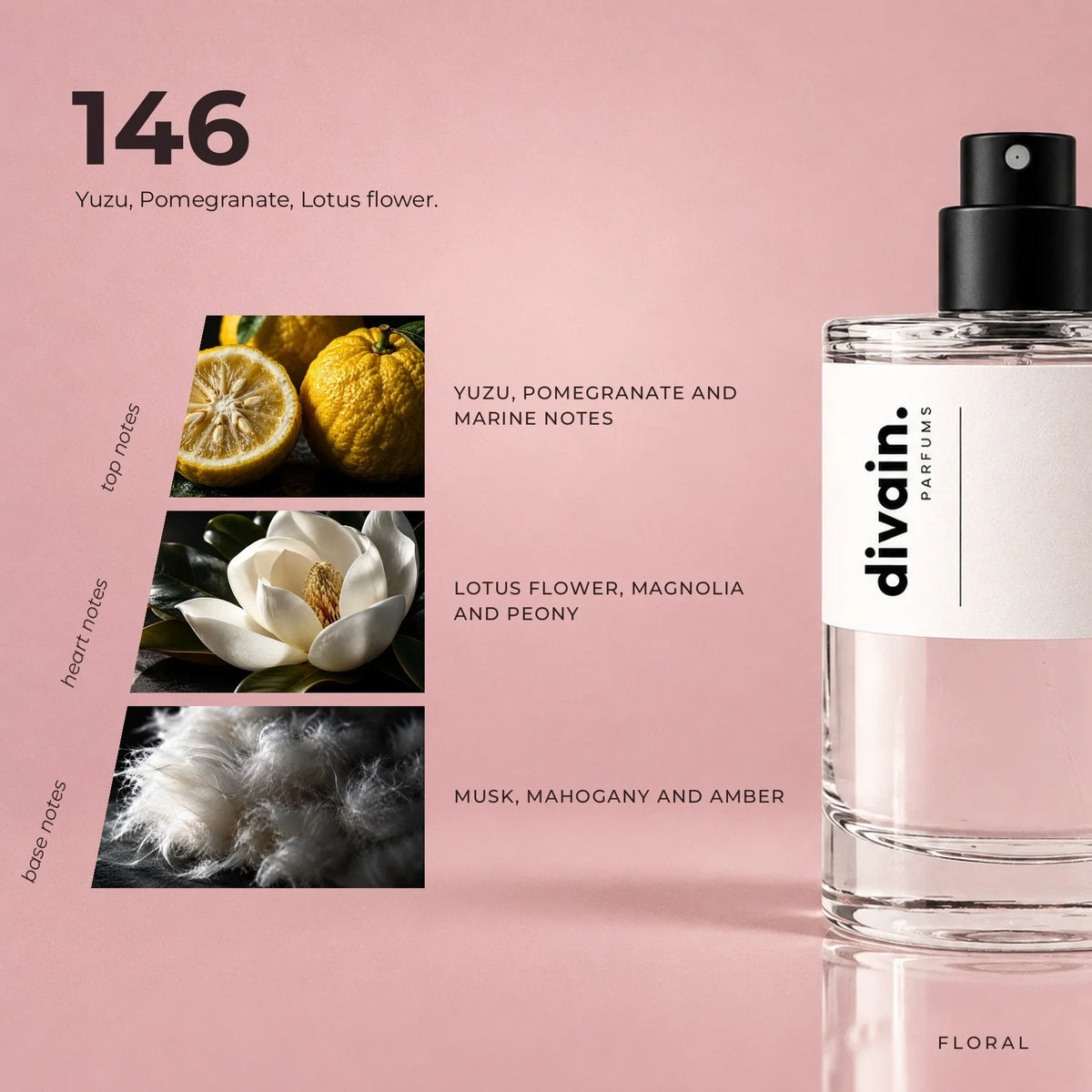 divain.146 perfume olfactory notes