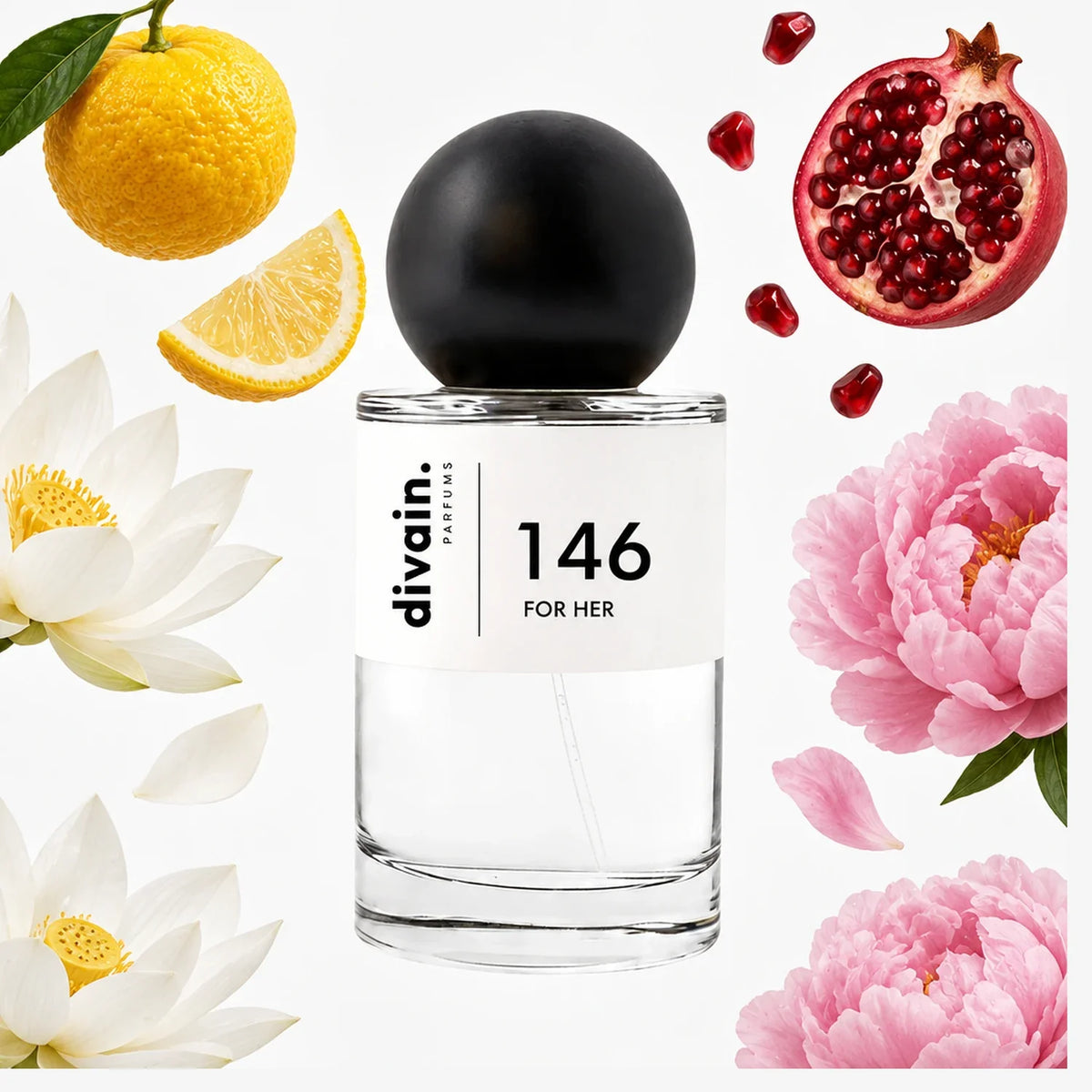 divain.146 perfume olfactory pyramid