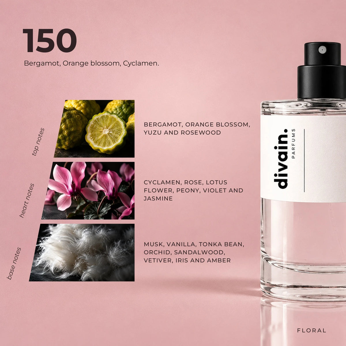 divain.150 fragrance pyramid