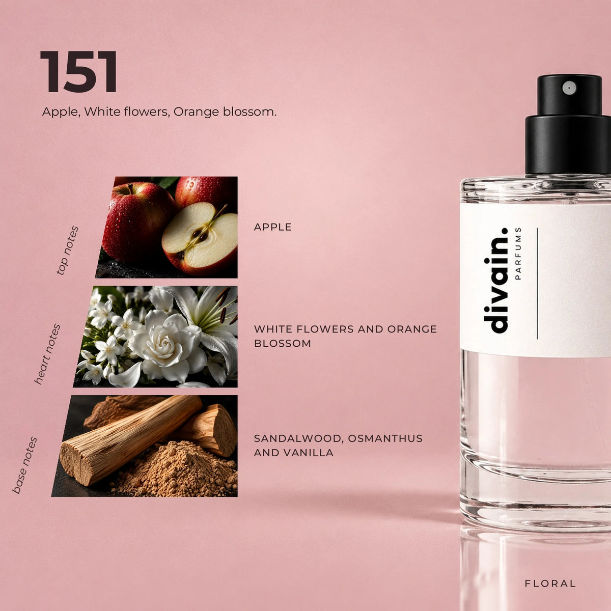 divain.151 fragrance pyramid