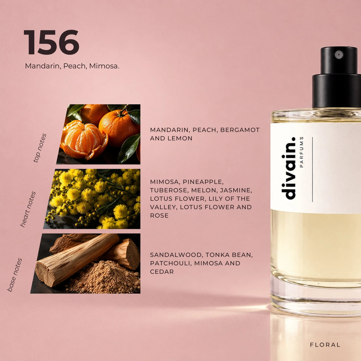 divain.156 fragrance pyramid