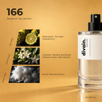 divain.166 perfume olfactory notes