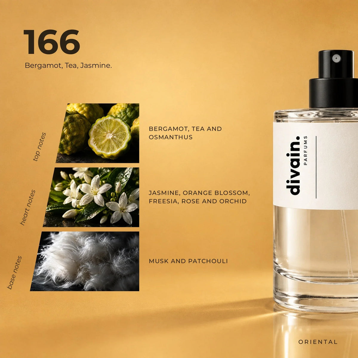 divain.166 perfume olfactory notes