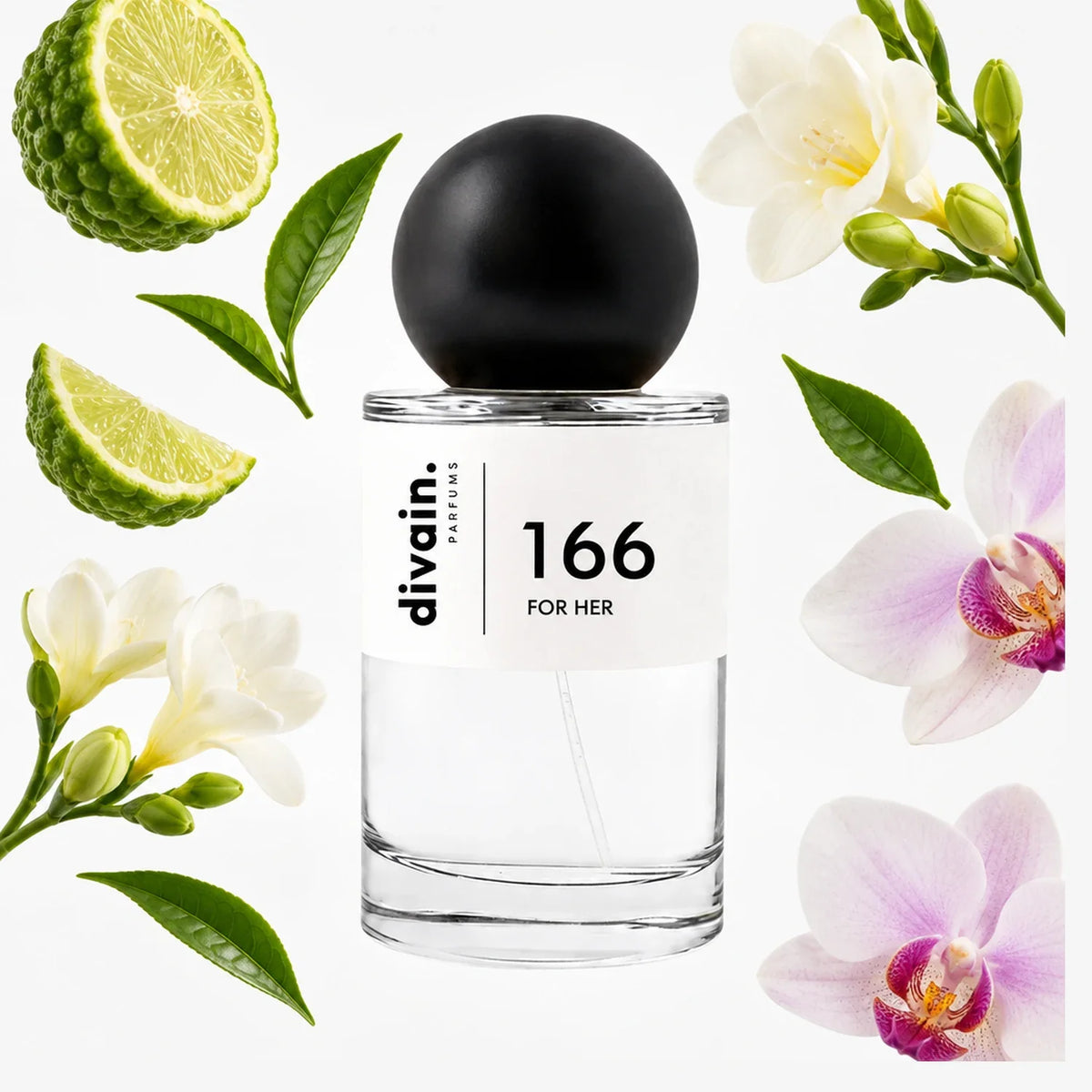 divain.166 perfume olfactory pyramid