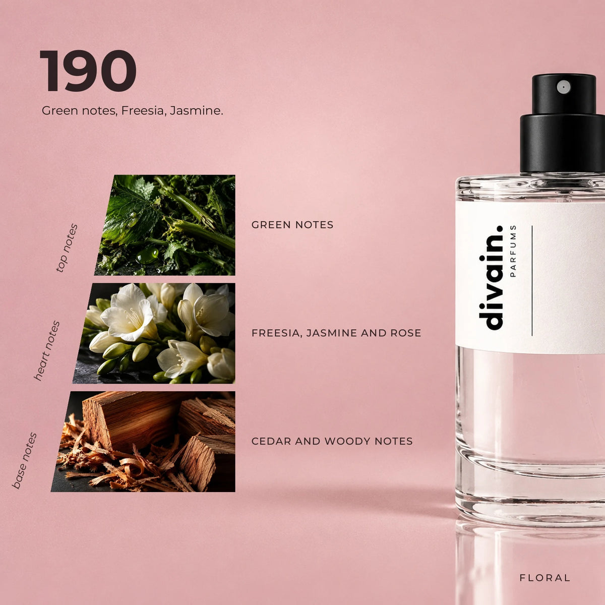 divain.190 fragrance pyramid