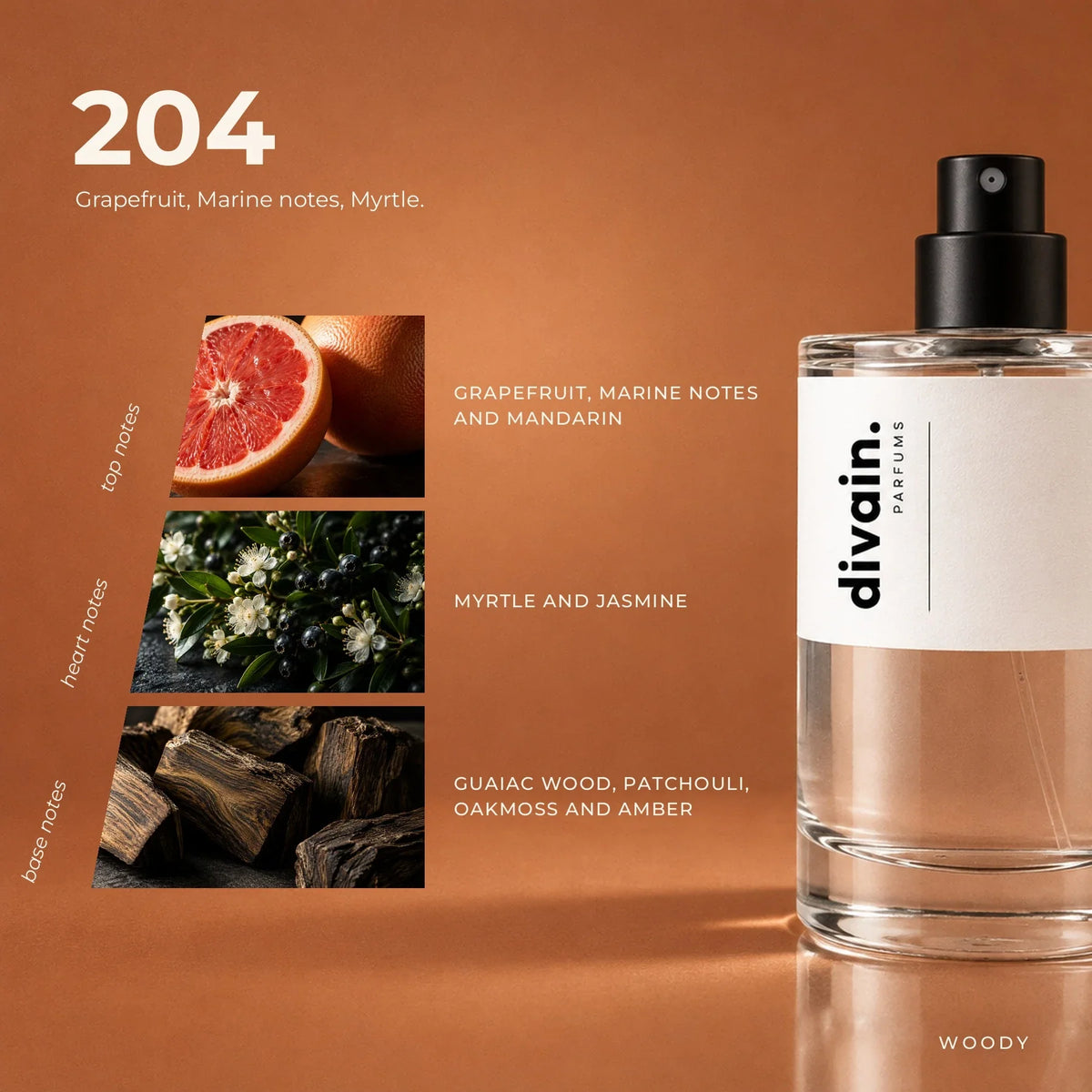 divain.204 perfume olfactory notes
