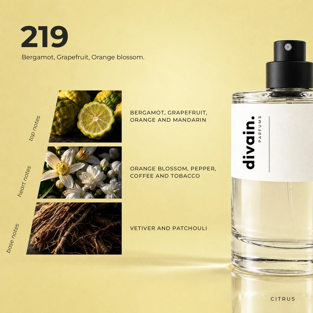 divain.219 perfume olfactory notes