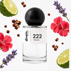 divain.222 perfume olfactory pyramid