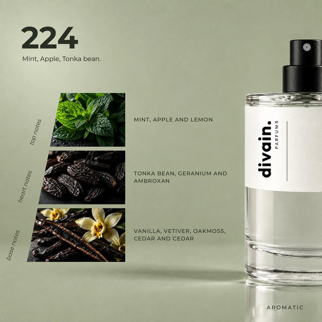 divain.224 perfume olfactory notes