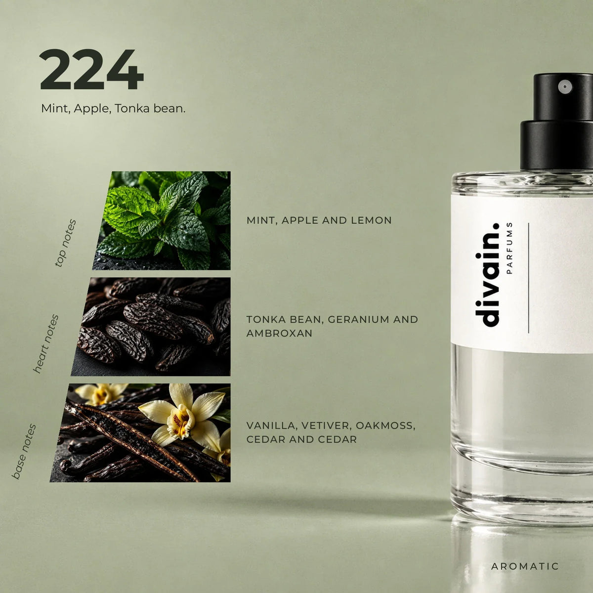 divain.224 perfume olfactory notes