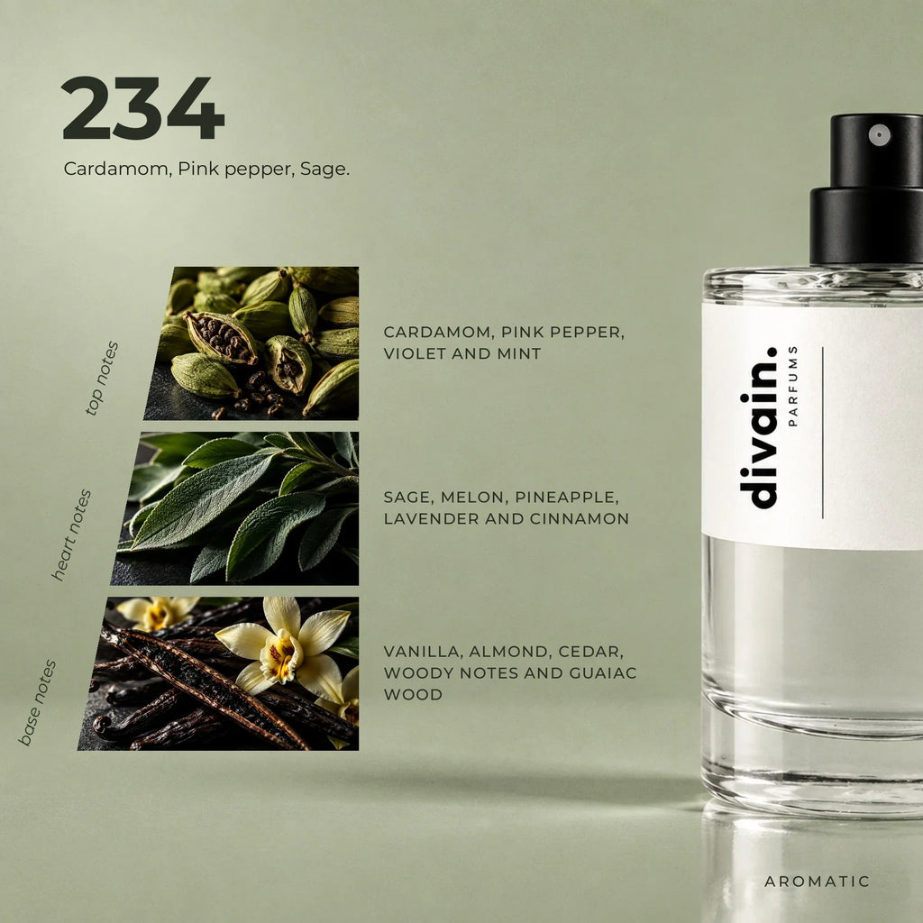 divain.234 perfume olfactory notes