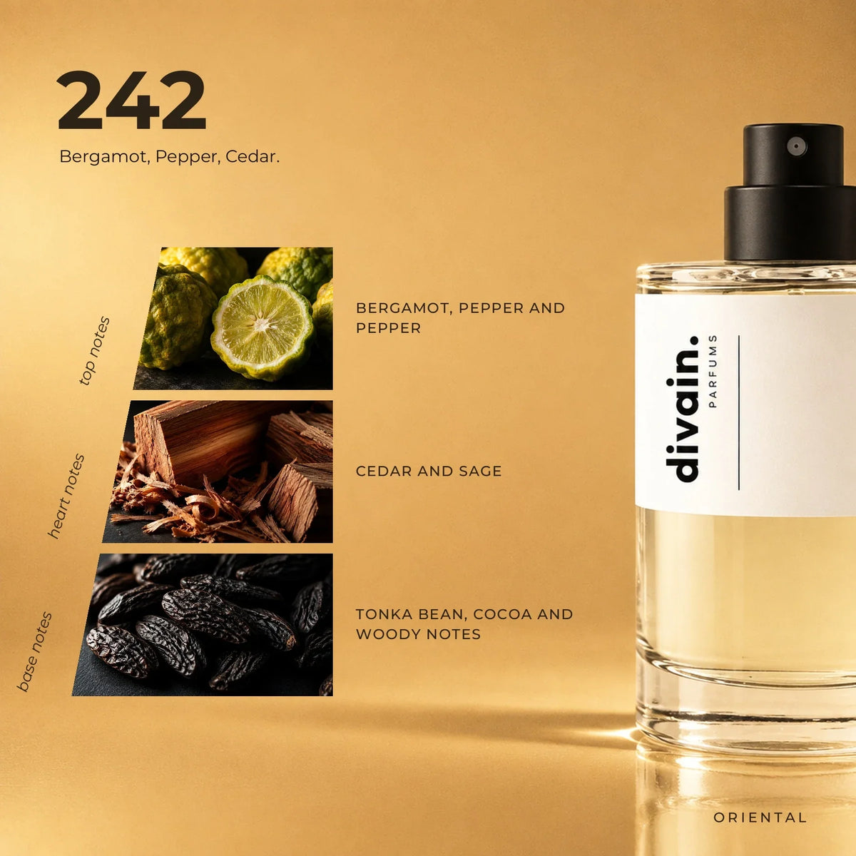 divain.242 perfume olfactory notes