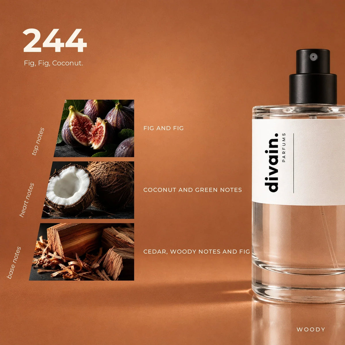 divain.244 perfume olfactory notes