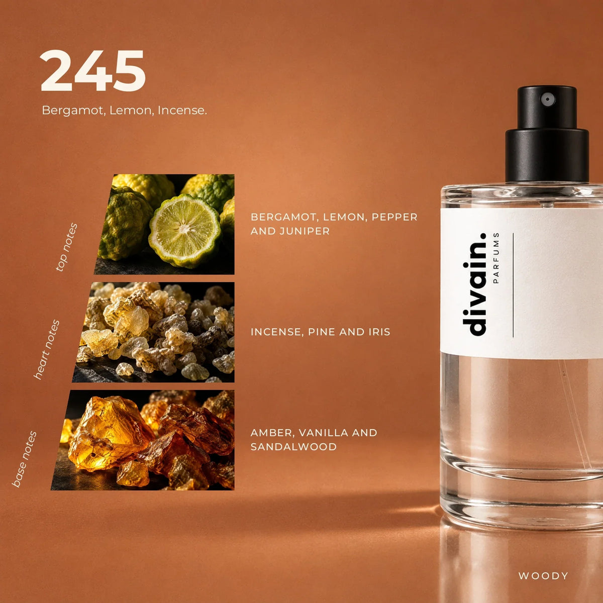divain.245 perfume olfactory notes