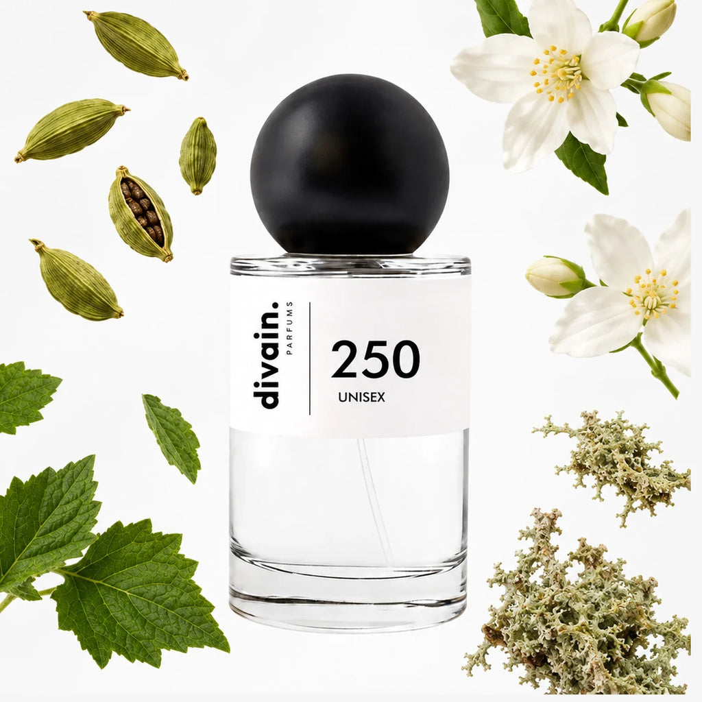 divain.250 perfume olfactory pyramid