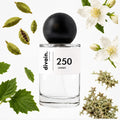 divain.250 perfume olfactory pyramid