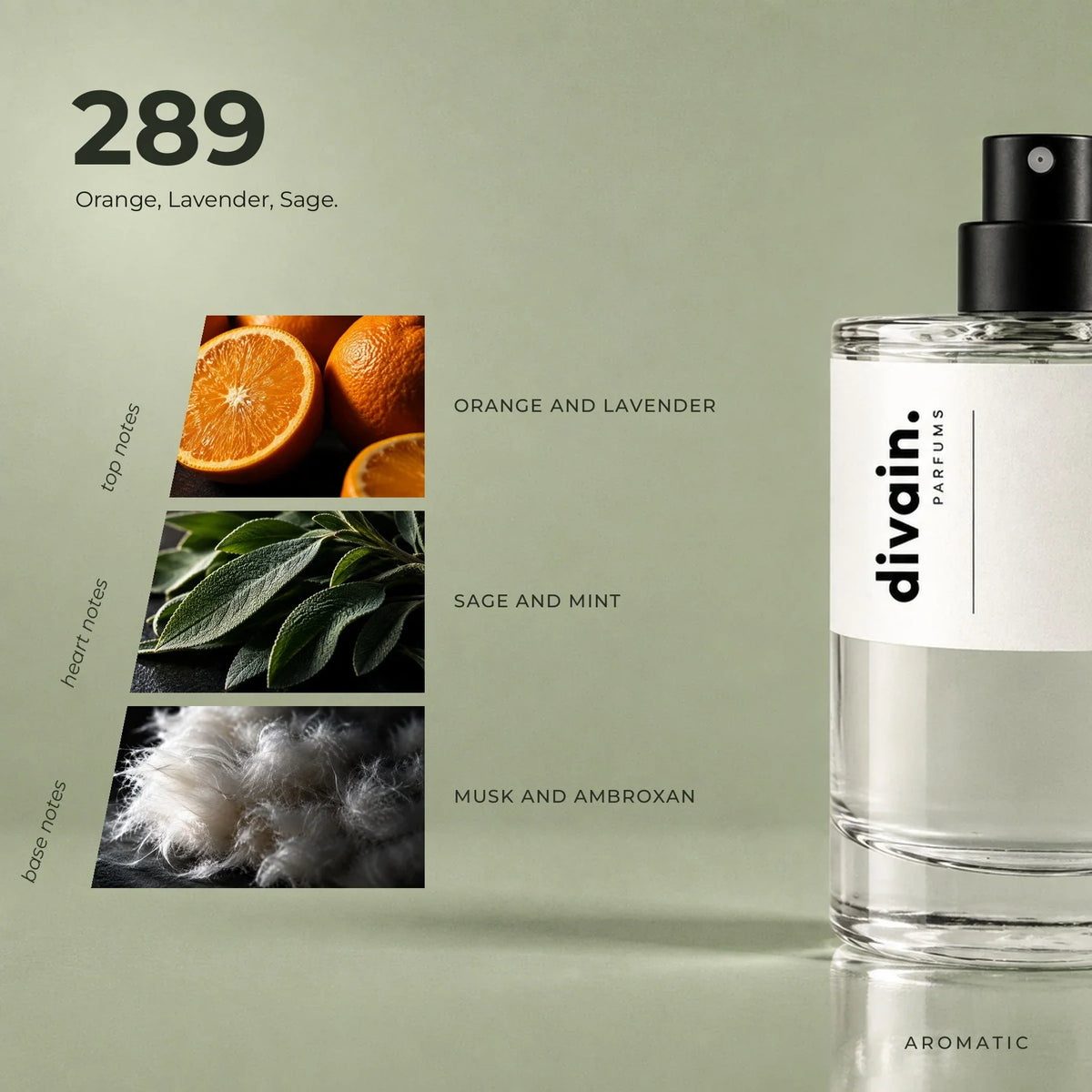 divain.289 perfume olfactory notes