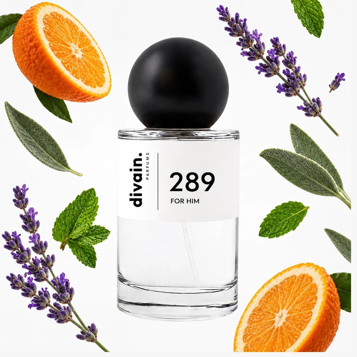 divain.289 perfume olfactory pyramid