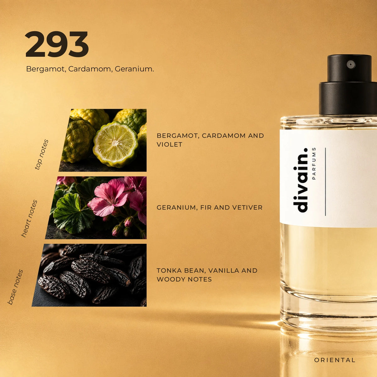 divain.293 fragrance pyramid
