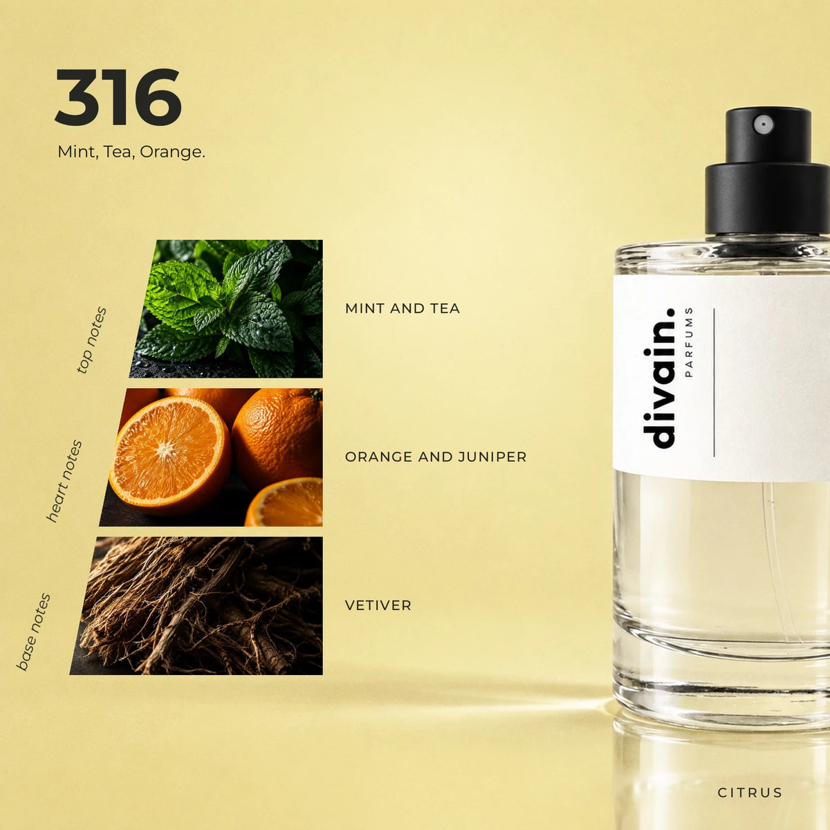 divain.316 fragrance pyramid