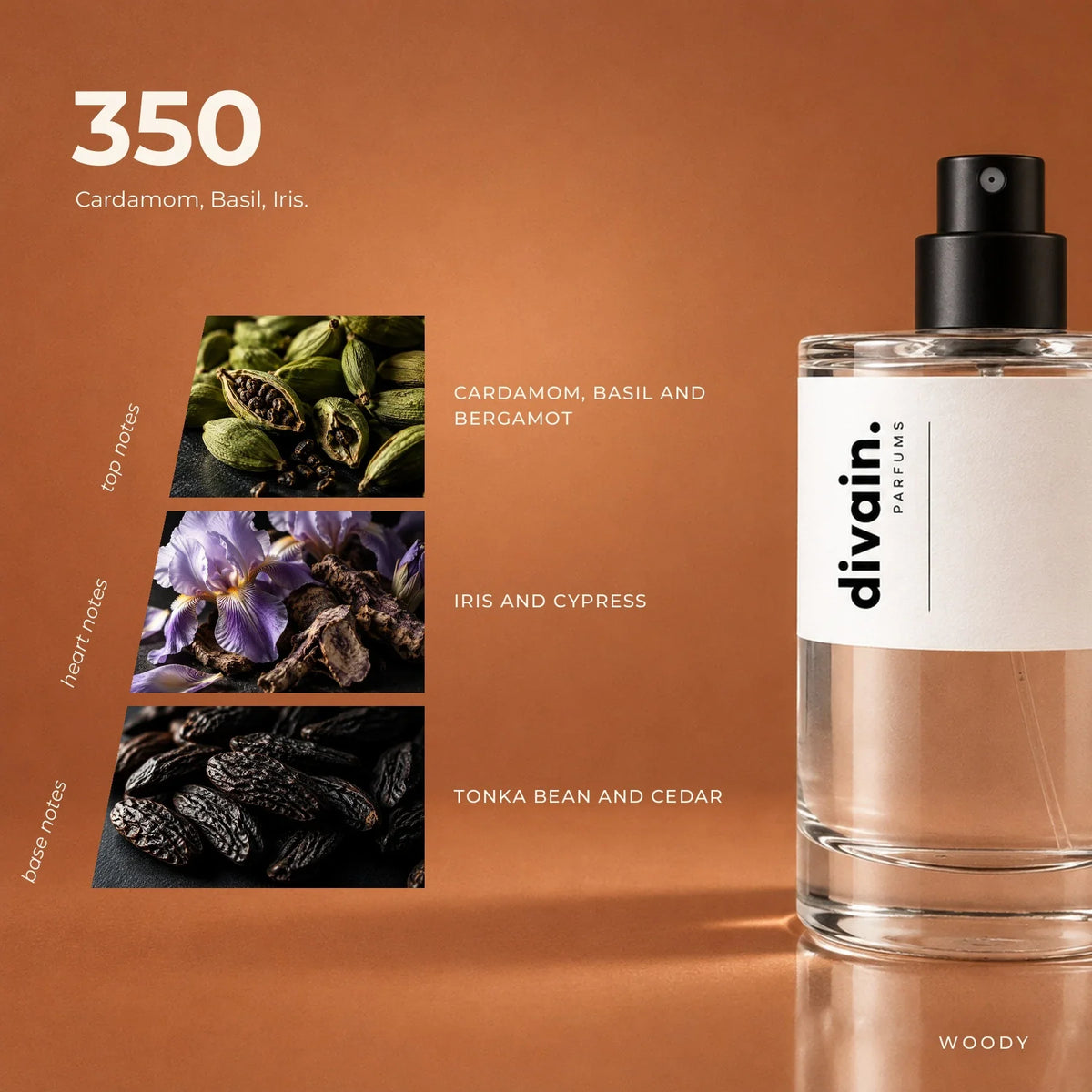 divain.350 perfume olfactory notes