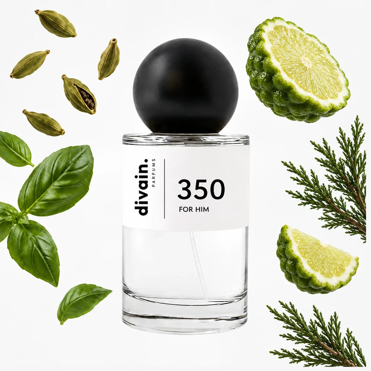 divain.350 perfume olfactory pyramid