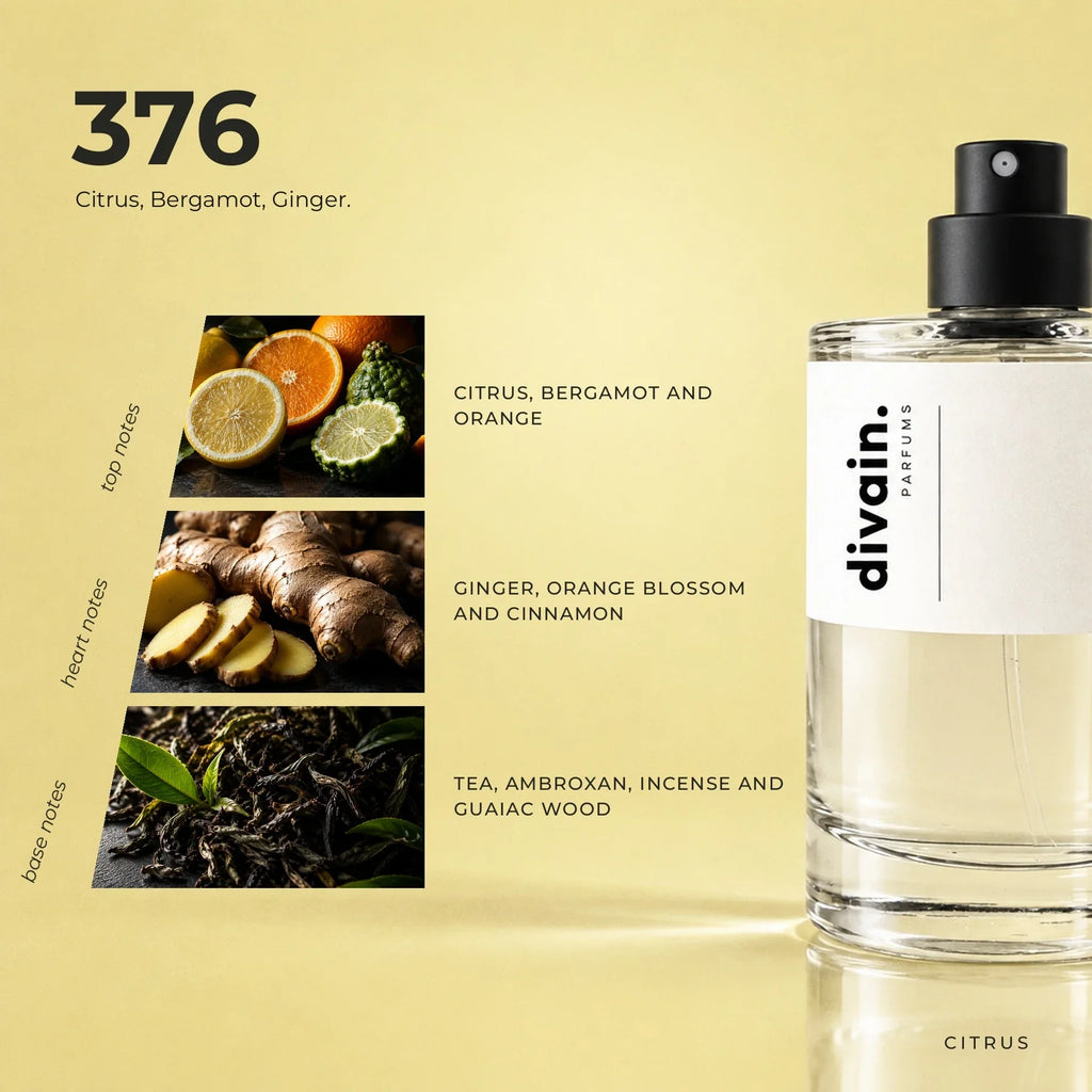 divain.376 perfume olfactory notes