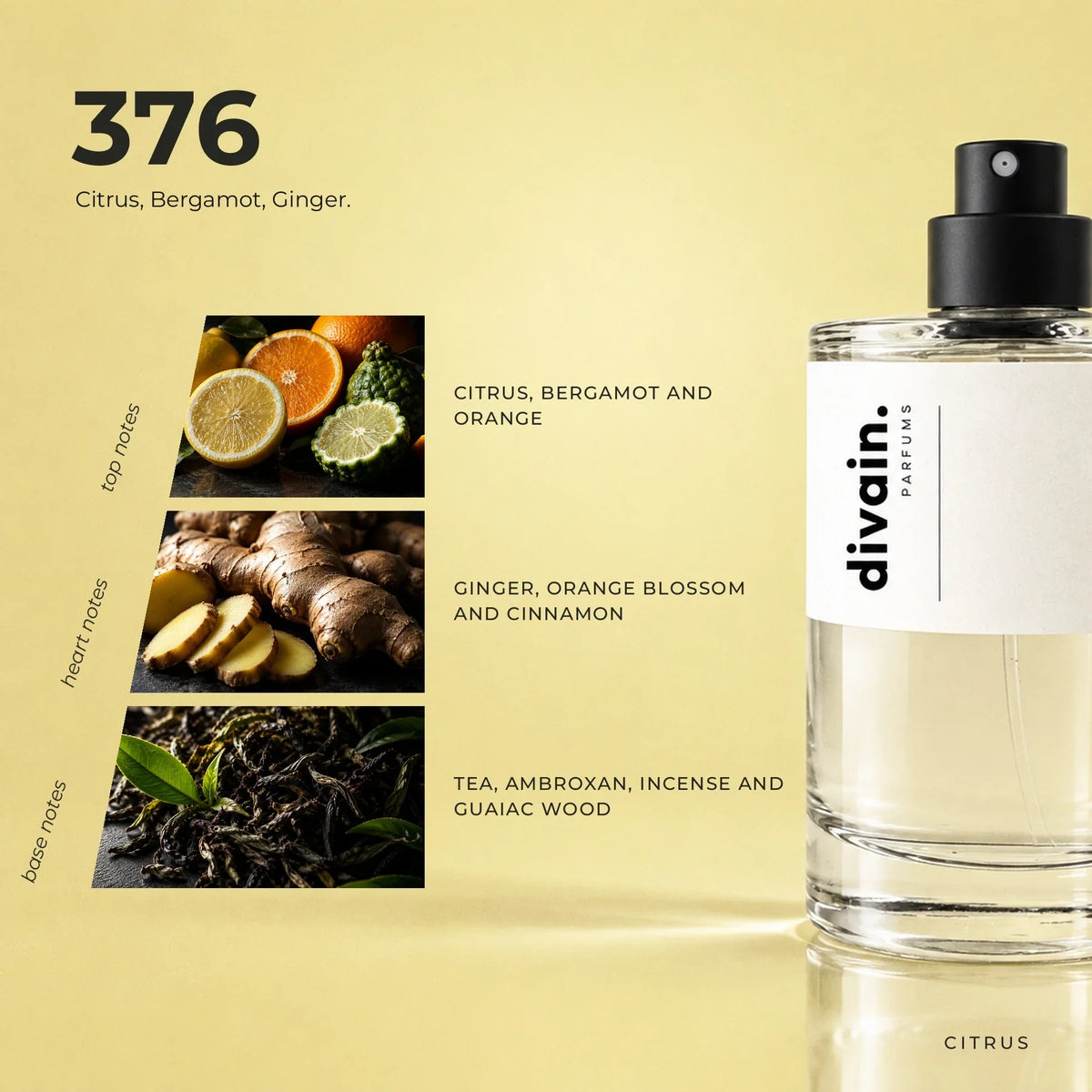 divain.376 perfume olfactory notes