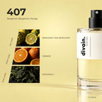 divain.407 perfume olfactory notes