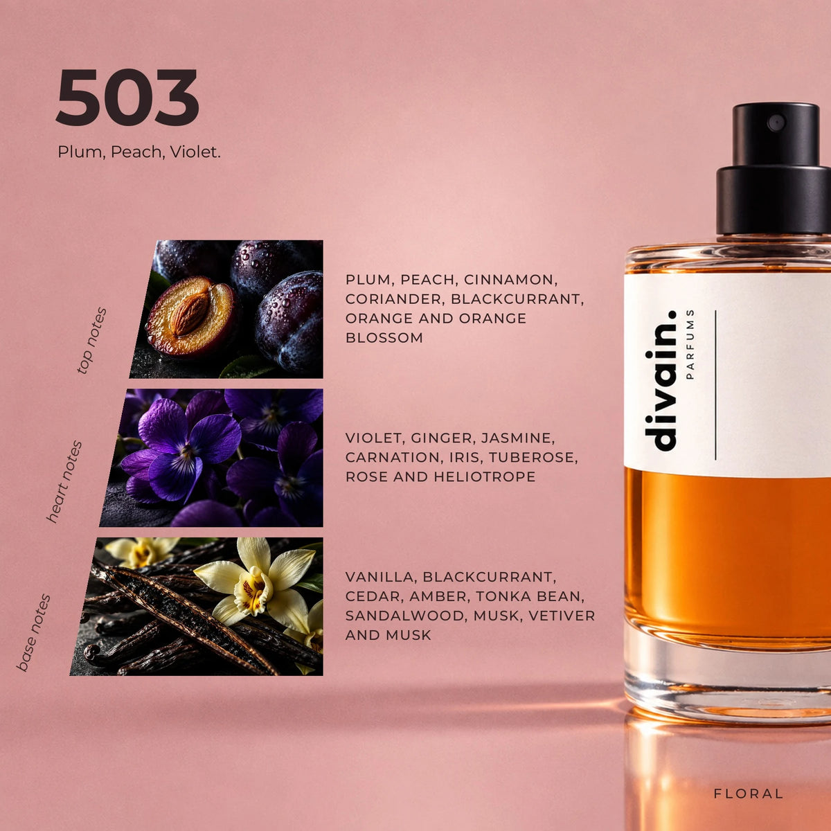 divain.503 fragrance pyramid