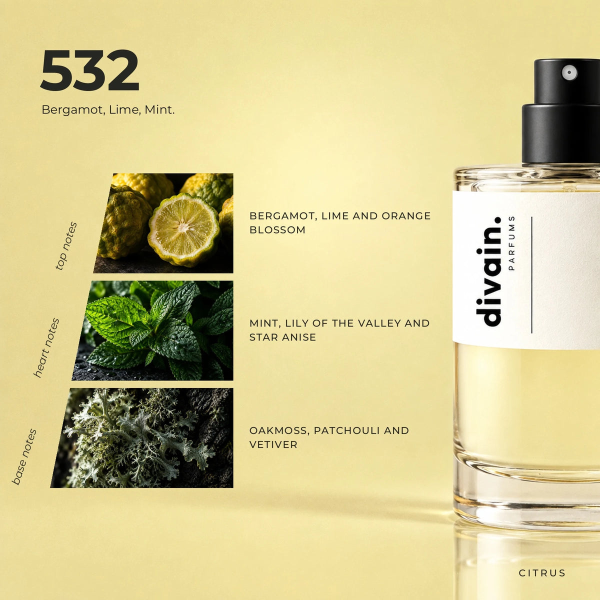 divain.532 fragrance pyramid