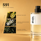 divain.591 perfume olfactory notes