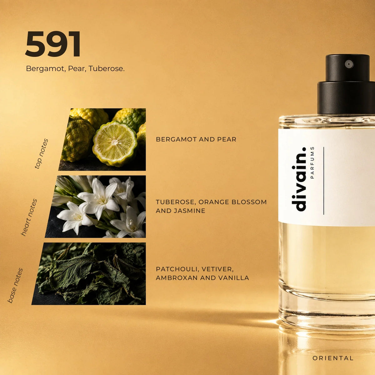 divain.591 perfume olfactory notes